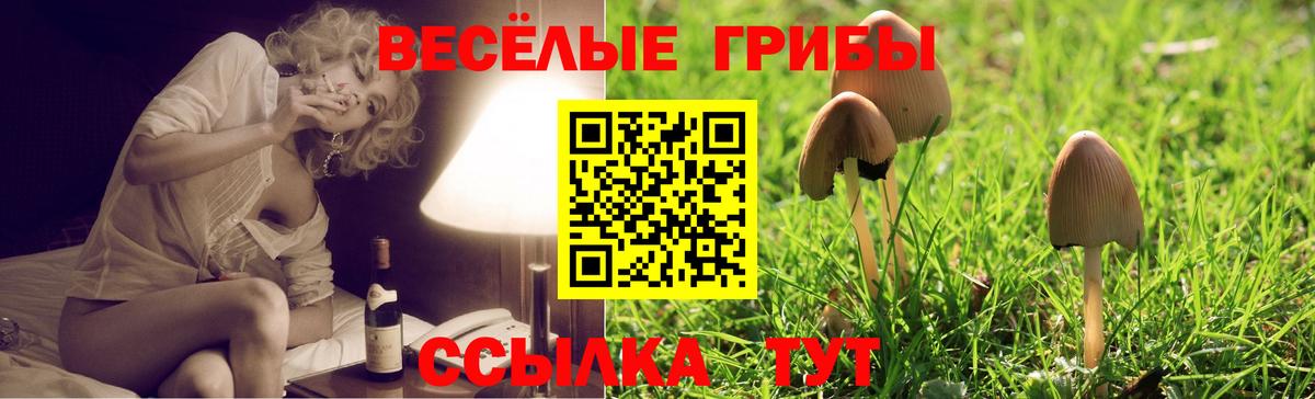 Галлюциногенные грибы Magic Shrooms Белореченск